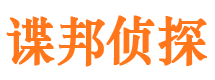 无极市侦探调查公司